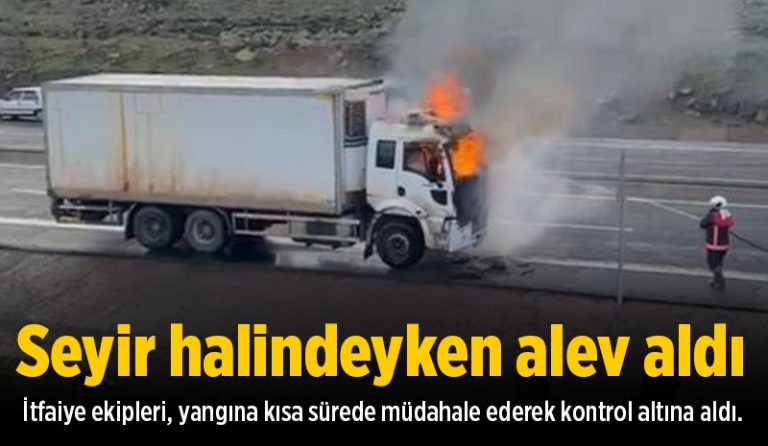 Bingöl’de seyir halindeki kamyon alev alev yandı