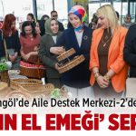 Bingöl ADEM-2’den ‘Kadın El Emeği’ Sergisi