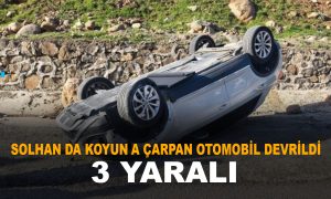 Solhan da koyuna çarpan otomobil devrildi 3 yaralı